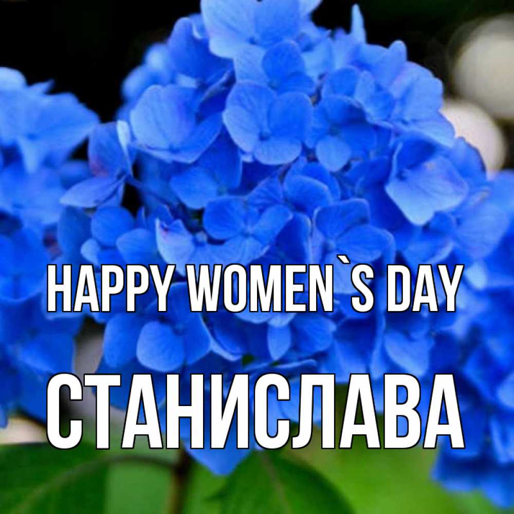 Greetings card с именем, Станислава happy women`s day синие цветы Greetings with text for free download 